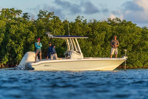 Boston-whaler 220-DAUNTLESS image