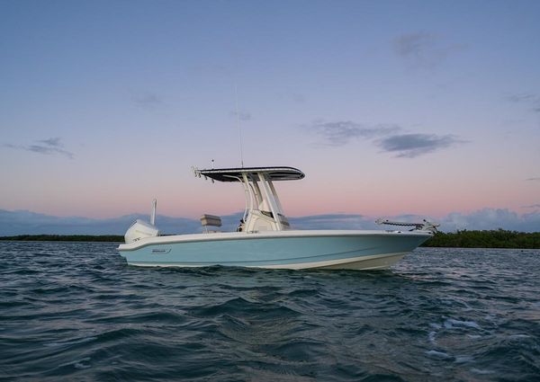 Boston-whaler 220-DAUNTLESS image