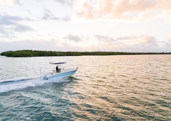 Boston-whaler 220-DAUNTLESS image