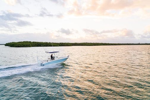 Boston-whaler 220-DAUNTLESS image