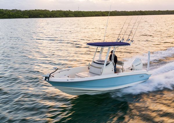 Boston-whaler 220-DAUNTLESS image