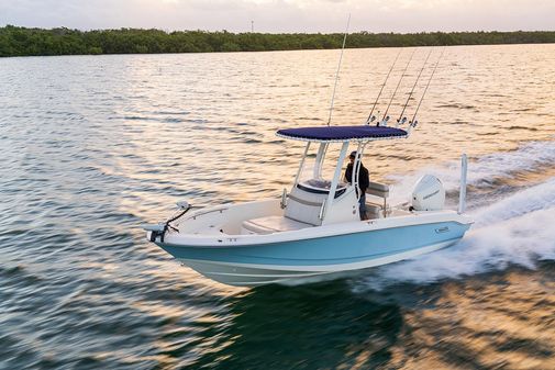 Boston-whaler 220-DAUNTLESS image