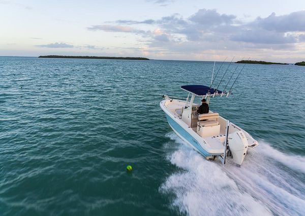 Boston-whaler 220-DAUNTLESS image