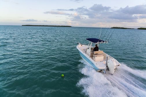 Boston-whaler 220-DAUNTLESS image