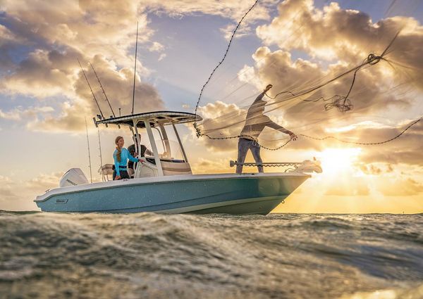 Boston-whaler 220-DAUNTLESS image