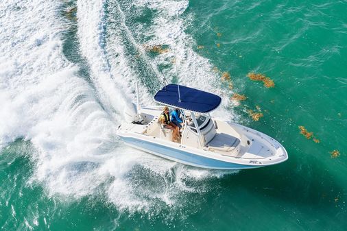 Boston-whaler 220-DAUNTLESS image