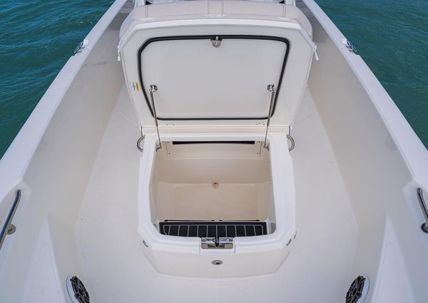 Boston-whaler 220-DAUNTLESS image