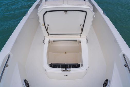 Boston-whaler 220-DAUNTLESS image