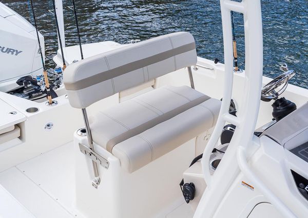 Boston-whaler 220-DAUNTLESS image