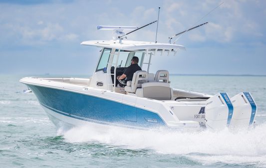 Boston-whaler 330-OUTRAGE image