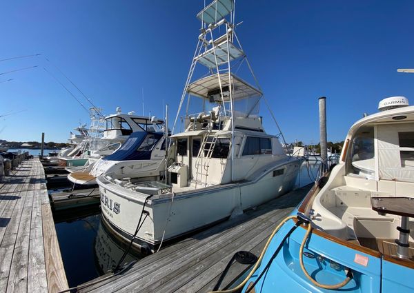 Hatteras 45-CONVERTIBLE image