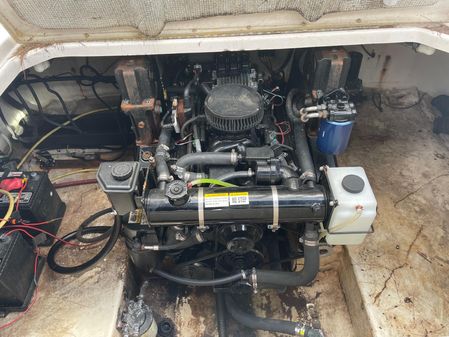 Chaparral 260 Signature image