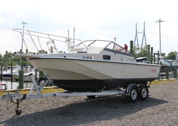 Boston-whaler 22-REVENGE image