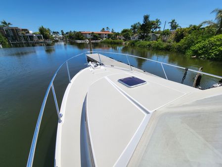 Back Cove 30 image