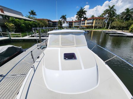Back Cove 30 image