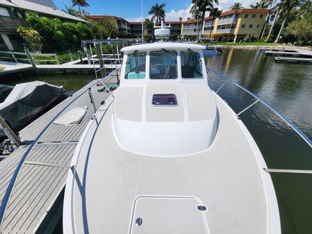 Back Cove 30 image