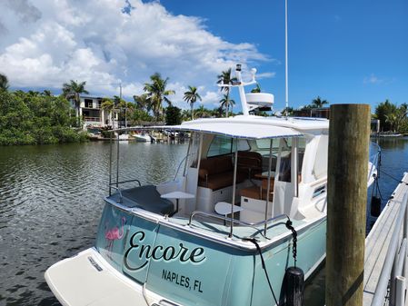 Back Cove 30 image
