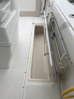 Boston-whaler 320-OUTRAGE-CUDDY-CABIN image