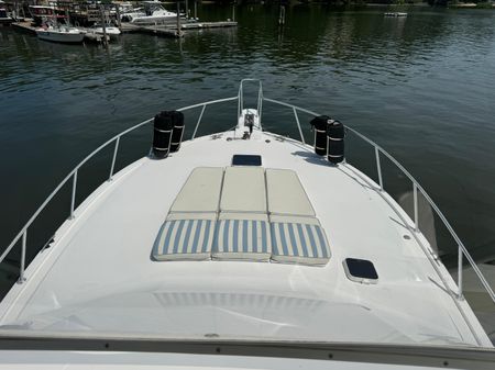 Viking 43-CONVERTIBLE image