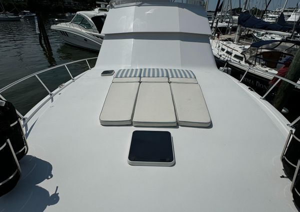 Viking 43-CONVERTIBLE image