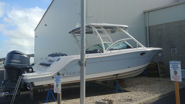 Robalo R317 - main image