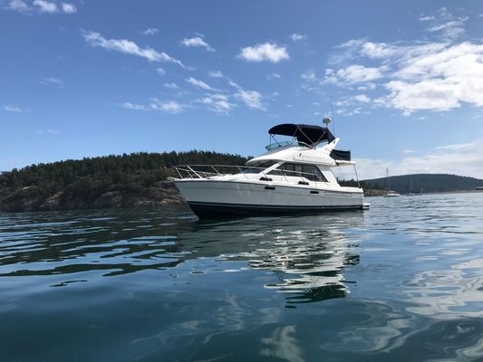 Bayliner 3388-COMMAND-BRIDGE-MOTORYACHT - main image