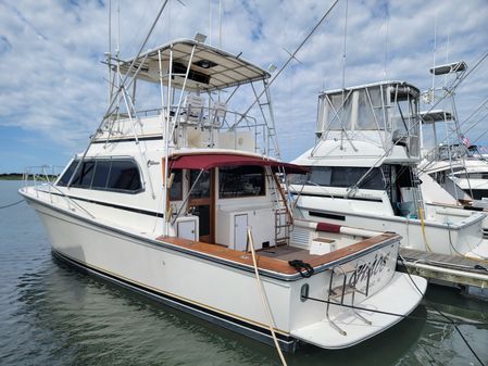 Egg Harbor 43 FLYBRIDGE image