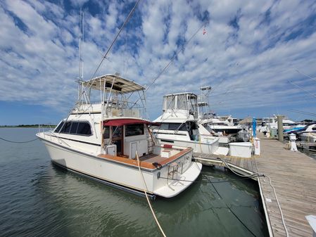 Egg Harbor 43 FLYBRIDGE image