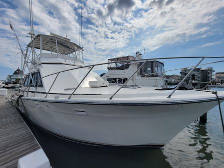 Egg Harbor 43 FLYBRIDGE image