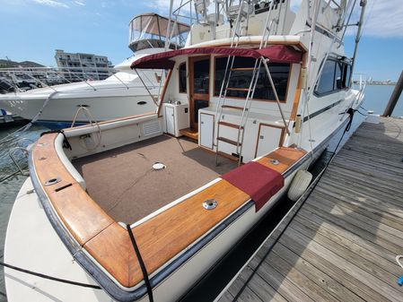 Egg Harbor 43 FLYBRIDGE image