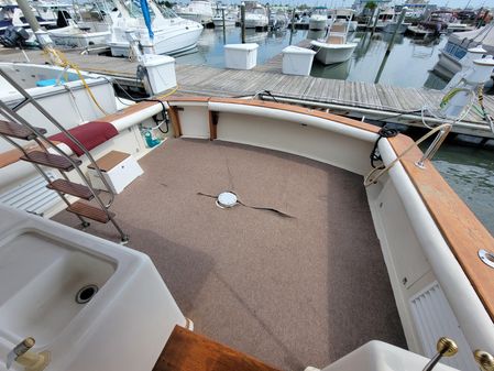 Egg Harbor 43 FLYBRIDGE image