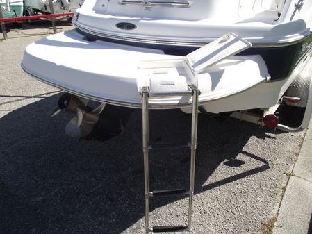 Chaparral Sunesta 243 image