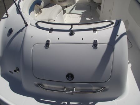 Chaparral Sunesta 243 image