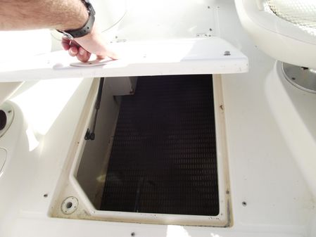 Chaparral Sunesta 243 image