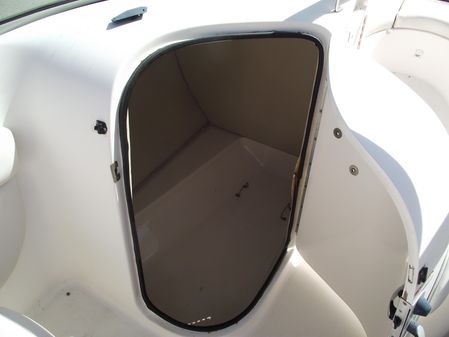 Chaparral Sunesta 243 image