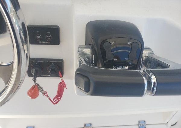 Robalo 30-CENTER-CONSOLE-R300 image