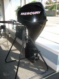 Mercury FourStroke 25 EFI image