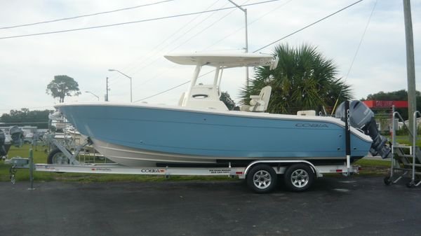 Cobia 262