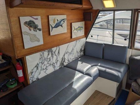 Bayliner 4550-MOTORYACHT image