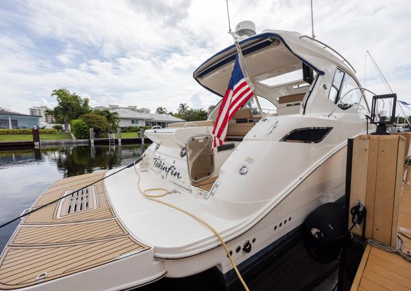 Sea Ray Sundancer 350 Coupe image