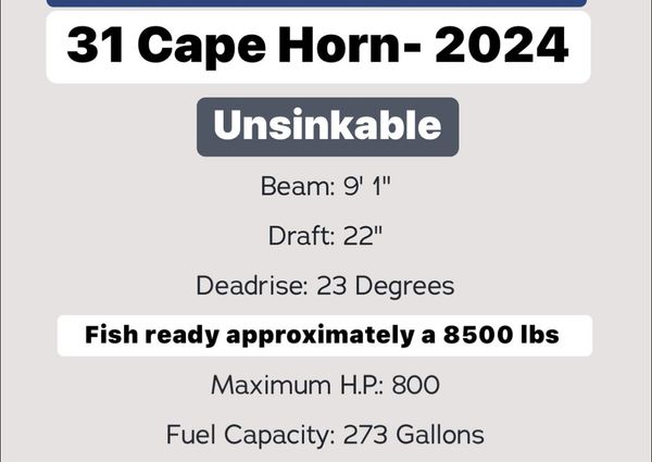 Cape-horn 31T image