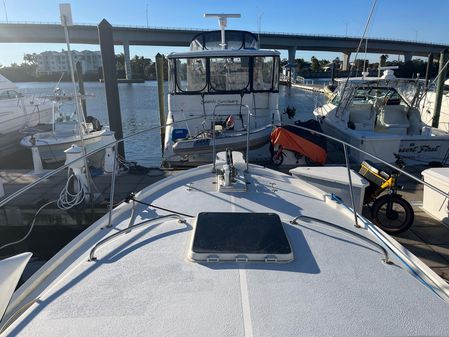 Albin Sportfisher image