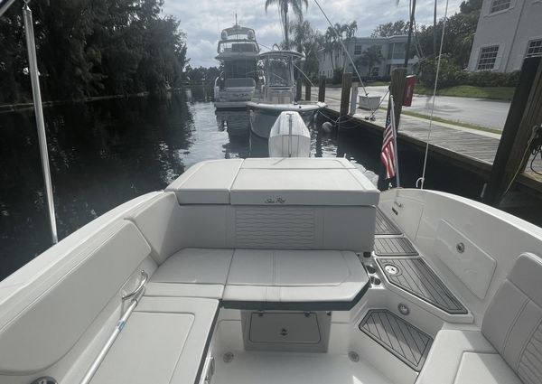 Sea Ray SPX 230 Outboard image