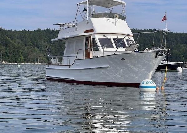 Island-gypsy EURO-SEDAN-TRAWLER image