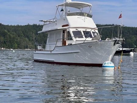 Island-gypsy EURO-SEDAN-TRAWLER image