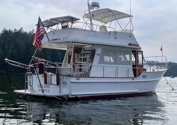 Island-gypsy EURO-SEDAN-TRAWLER image