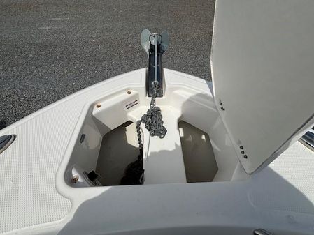 Robalo 242 EXPLORER image