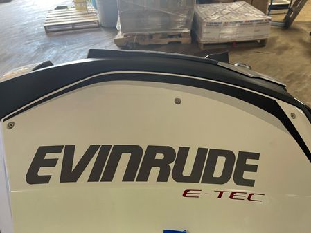 Evinrude 250-E-TEC image
