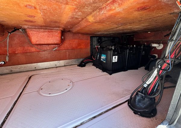 Blue Wave 2200 STL RISER image