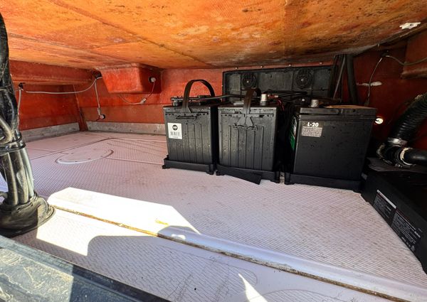 Blue Wave 2200 STL RISER image